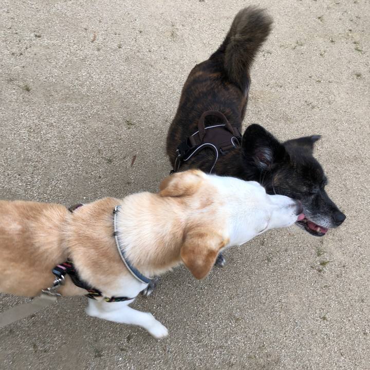 B23fe9ed 07c4 480a 82a2 8f83c842b9eb 1630397974026