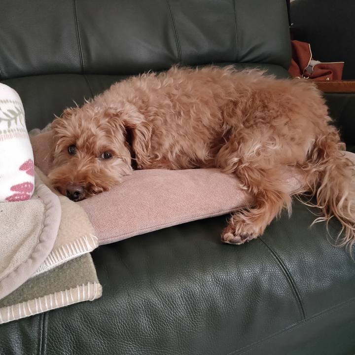 B23ff73a bd1e 4b05 b1f7 acd08b2b2b22 1584311037783