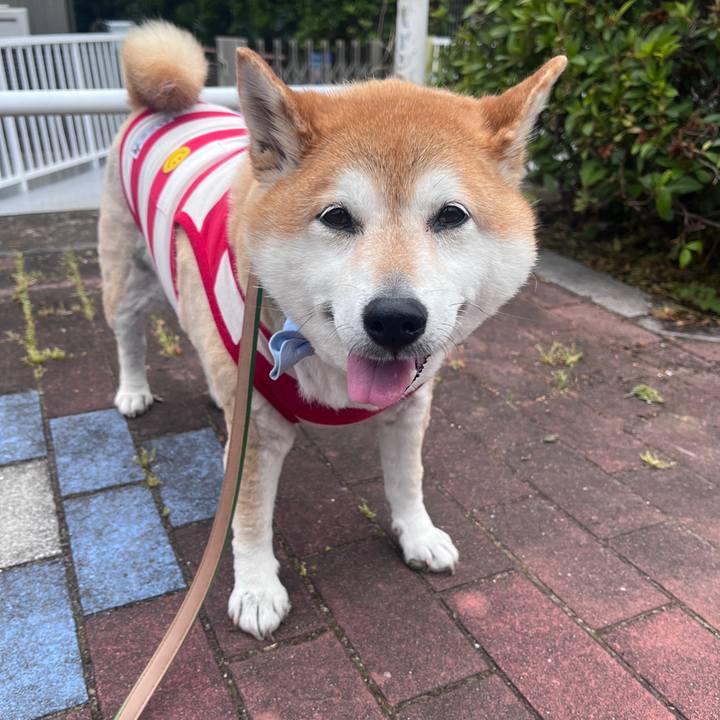 B2404cde 19dd 45bb ab01 28be0754f114 1717905937703