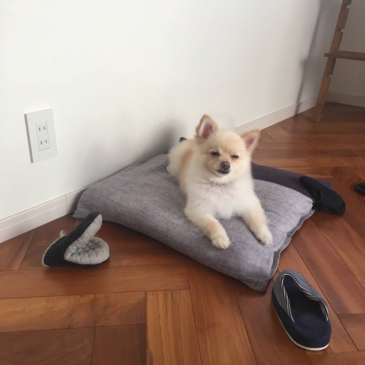 B24054fe d501 4976 884b 9dd518234f49 1532828196762