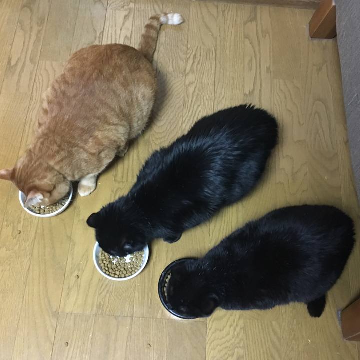 B24056bd 6dd4 45ee 9996 73f7c79bad81 1548153437505