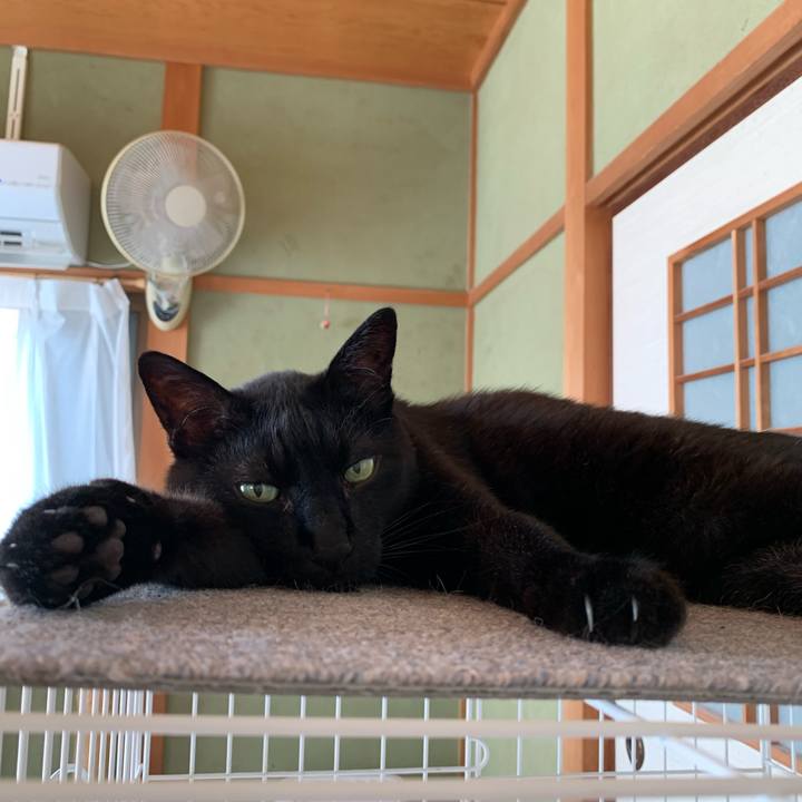 B240b6ec 1bbe 4015 ad39 40c81b02728c 1593738129465