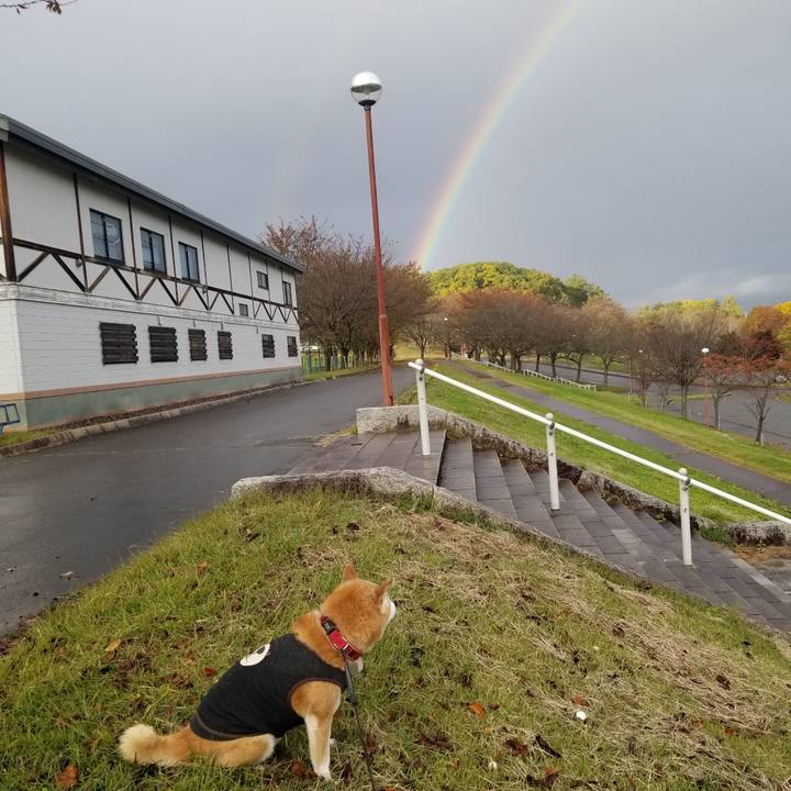 B240c83b 56ed 4929 9555 ac7545b1f073 1730984732589