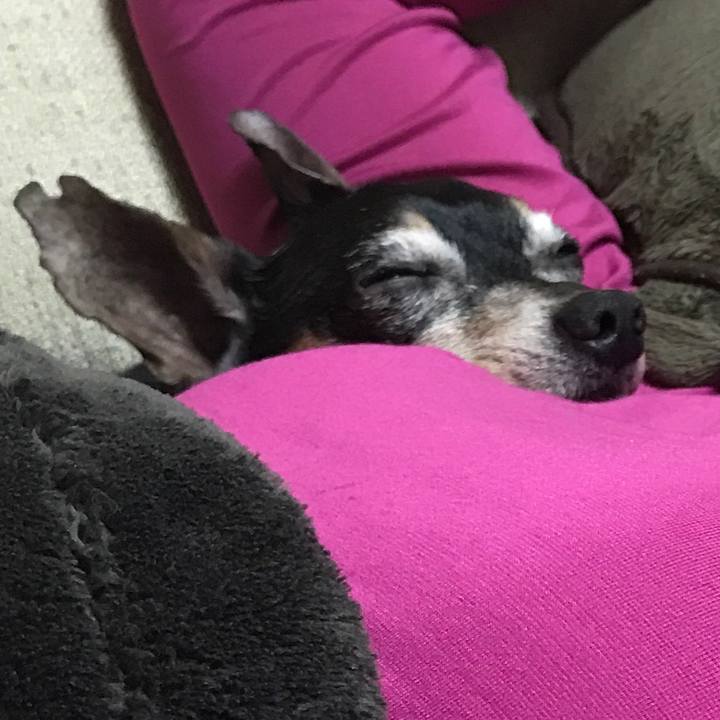 B240d940 cf7f 4cc3 895c 15d3aa0733e8 1510484702866