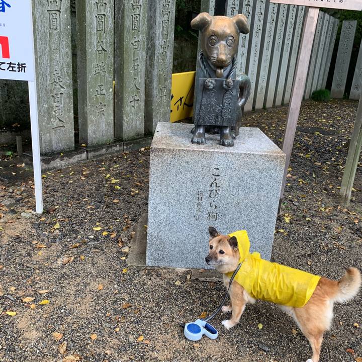 B240f4a7 b103 4b1c a26a 3a66077f666f 1538790705496