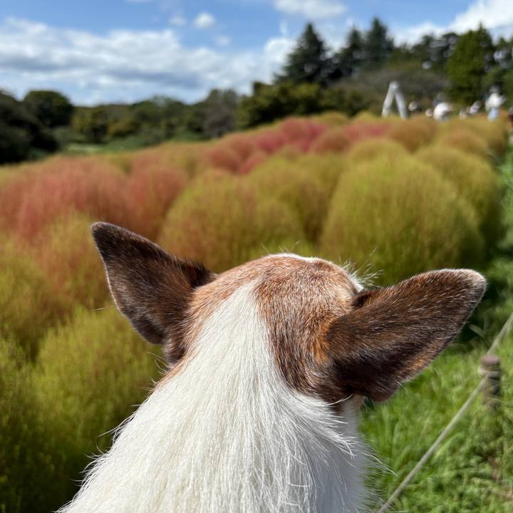 B240f4bf e03c 45e5 a1c1 f3e801f6a35b 1758756001446