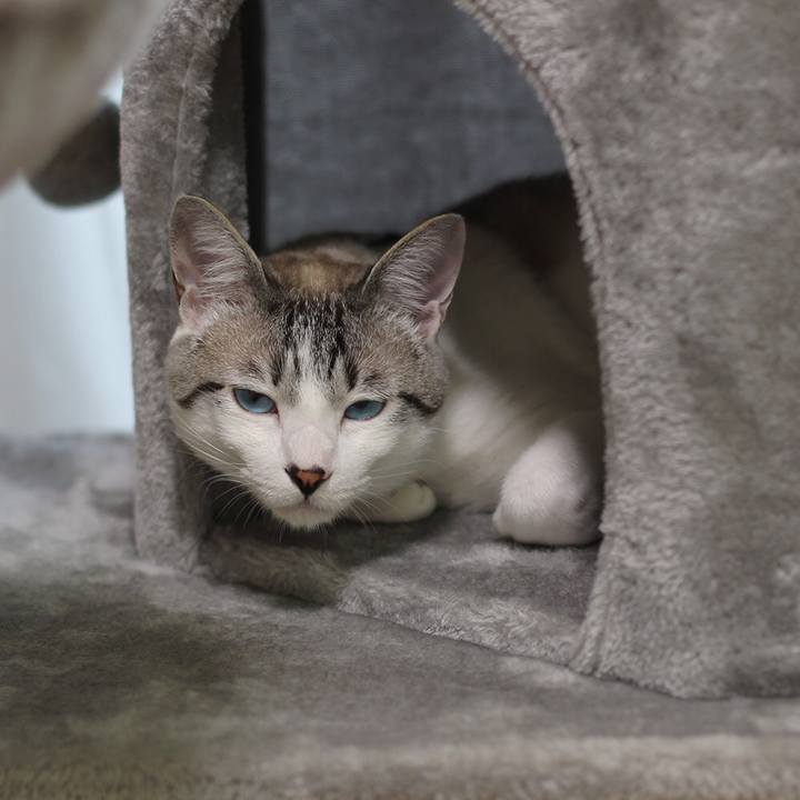 B240f730 20d1 4a0f b829 655d4f36bf61 1641857157480