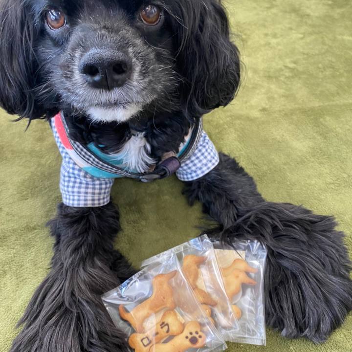 B240f85a 970b 40dc b420 91ed32be322e 1667114439993