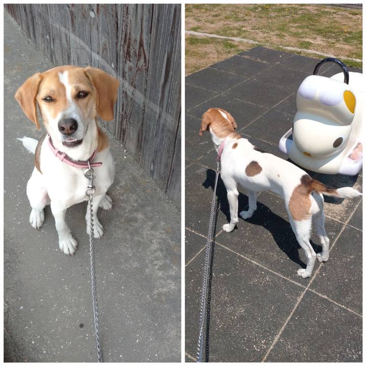 B241125c ef38 4d3d ba47 de1e053b45bb 1588226651326