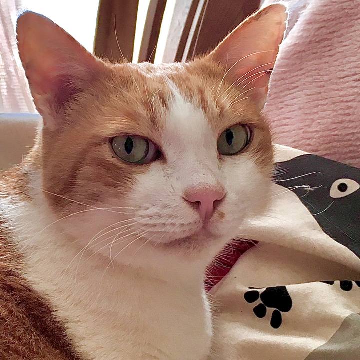 B2412ddc abdb 431c a4f7 c6b5561a17ff 1574045049025