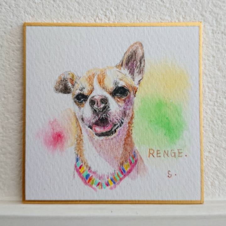 B2416e5f 09f9 48db b535 87fe45ed1f1e 1584674167374