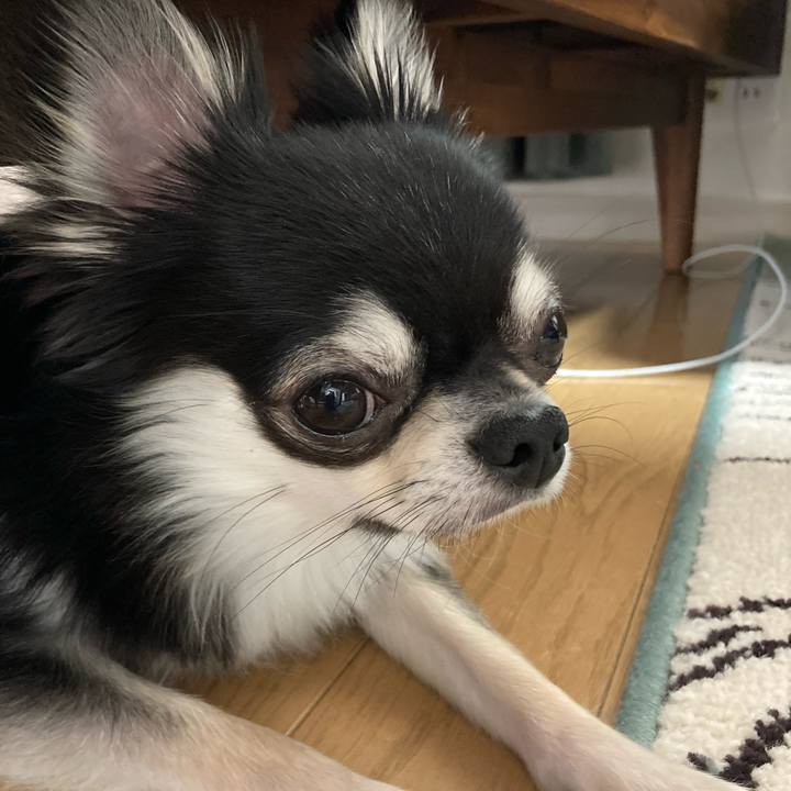 B241abf5 4097 471d 8fc8 6a78b917418b 1621142603194