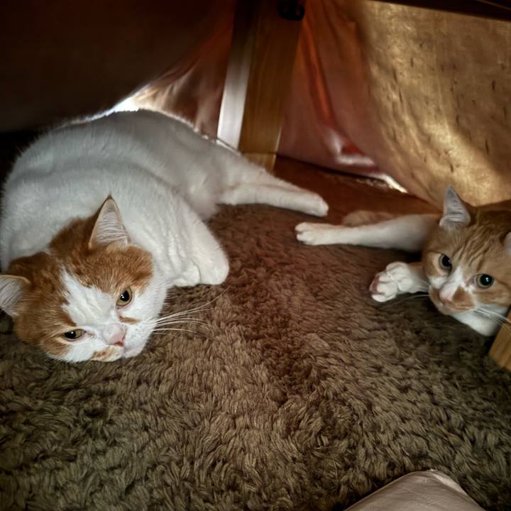 B241add6 2d79 4a47 a144 a7e109951c4b 1763639872952