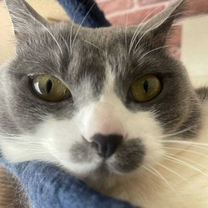 B241e803 312d 4cd6 915c e0024b59ad9d 1742190897111