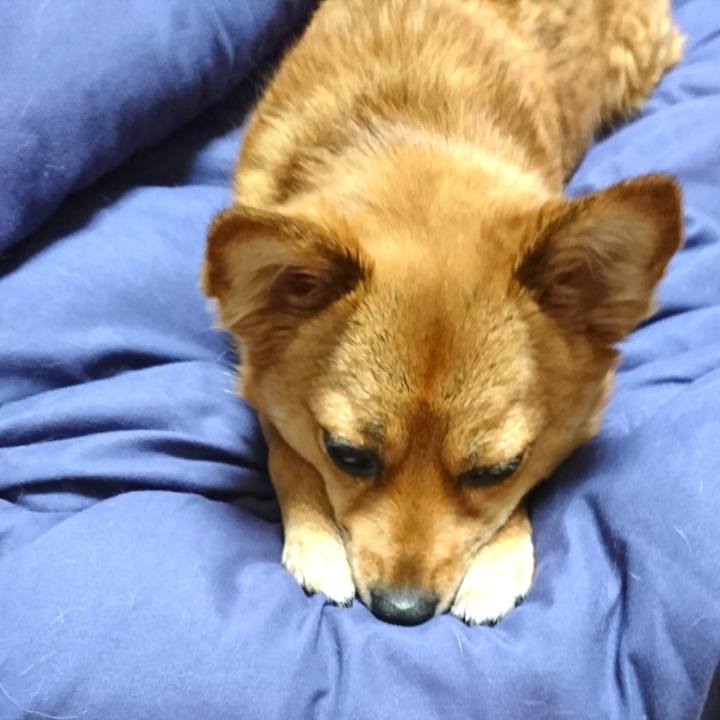 B2423e1a e0f1 483f a8da 297d3e6e55d6 1522298975942