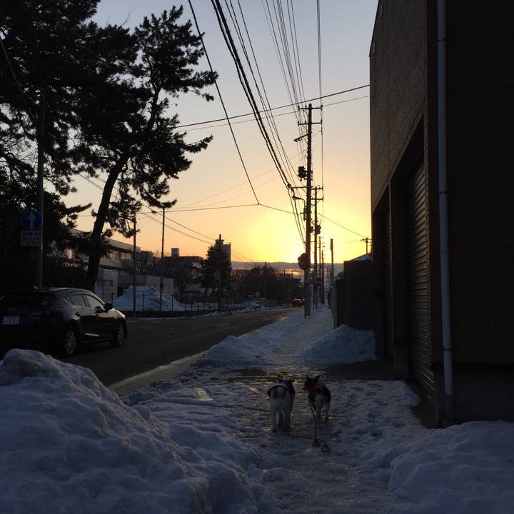 B2424a8d c090 450c bc67 3fb12d5830f2 1517531786369