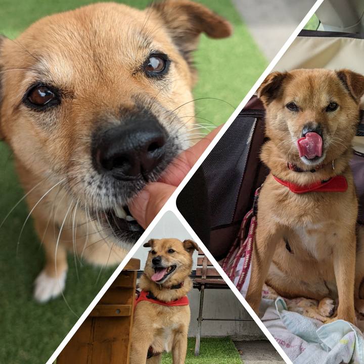 B2429054 b397 43e8 88a7 f8f15797c7c3 1660309900391