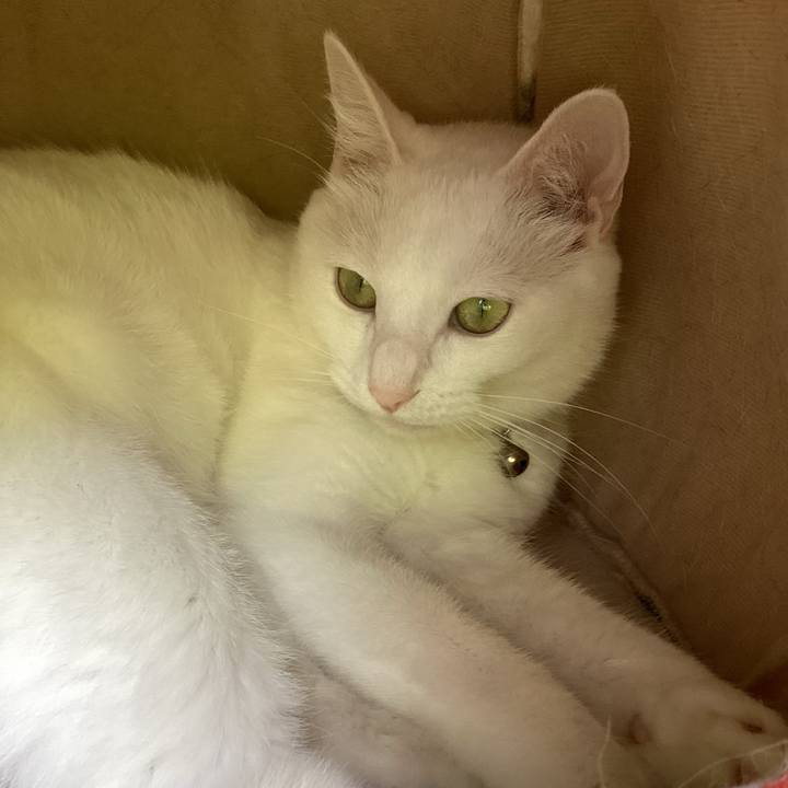 B242c87d 2b49 4e11 863c fc1decae1b0b 1690584998157