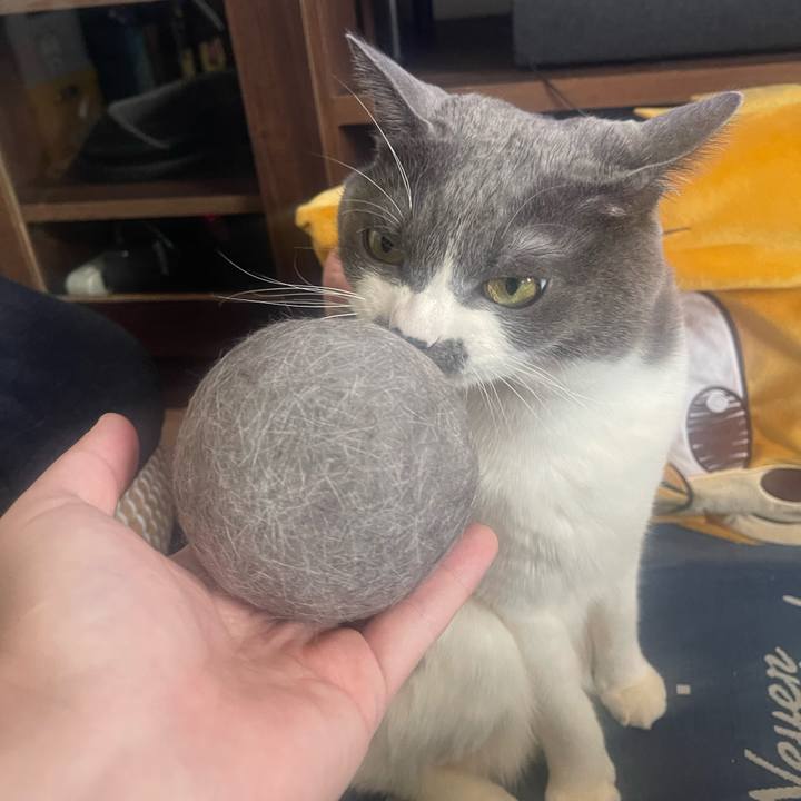 B242c9f4 c429 4b8b 933e 3ff7f76ce407 1739683092722