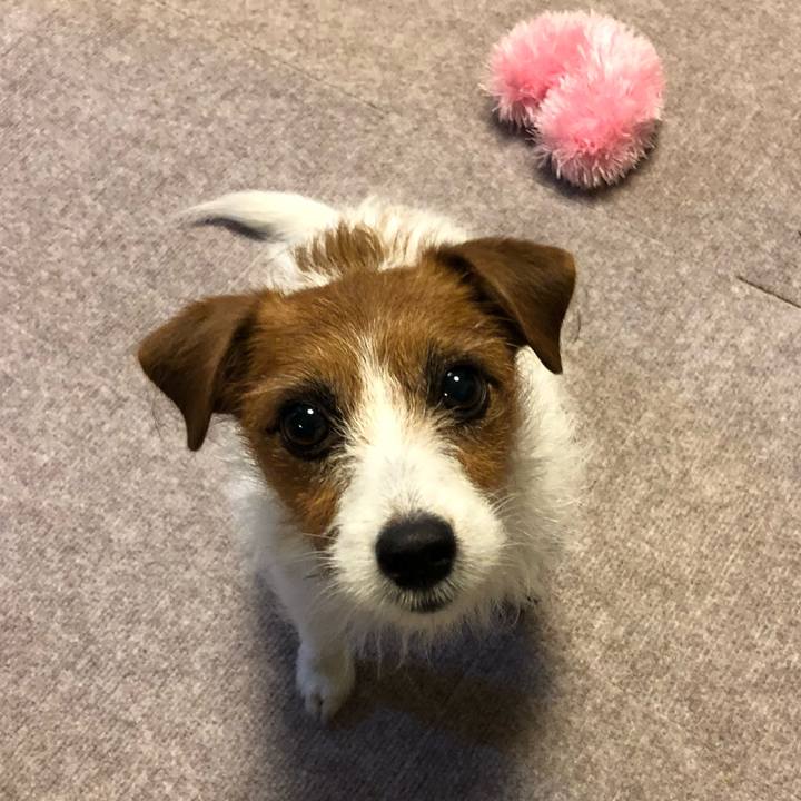 B242ccfb bfbe 462b 8028 afd3b5a618f0 1546598302812