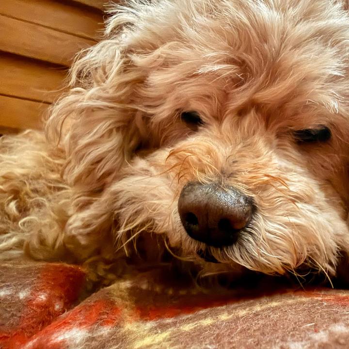 B24306b5 40b2 4e46 b5c1 4a89c20897d3 1770335370662