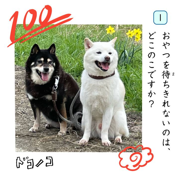 B2433207 e047 47f5 abb0 f9f509e752da 1744276271775