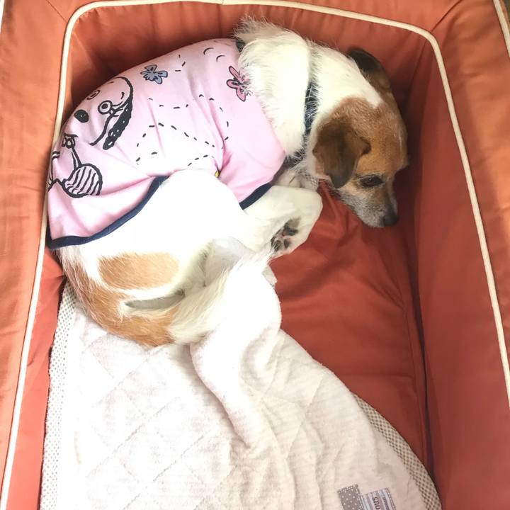 B2433d2e 5a82 49a1 ae62 e21e3e9a5d79 1527911612171