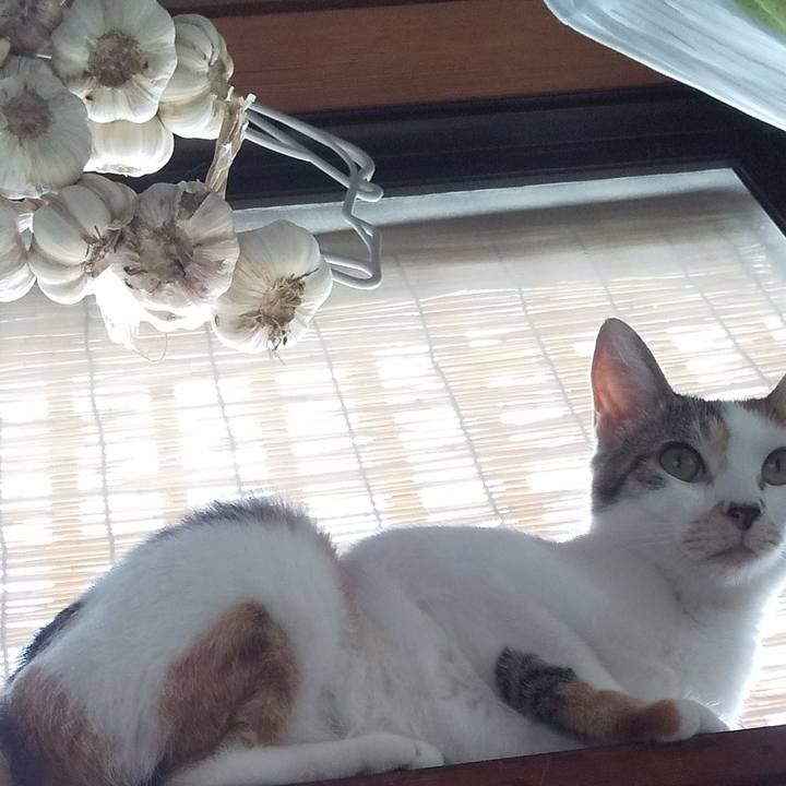 B24365dd ae6f 4788 a4c8 3a6864c46ebe 1656140625799