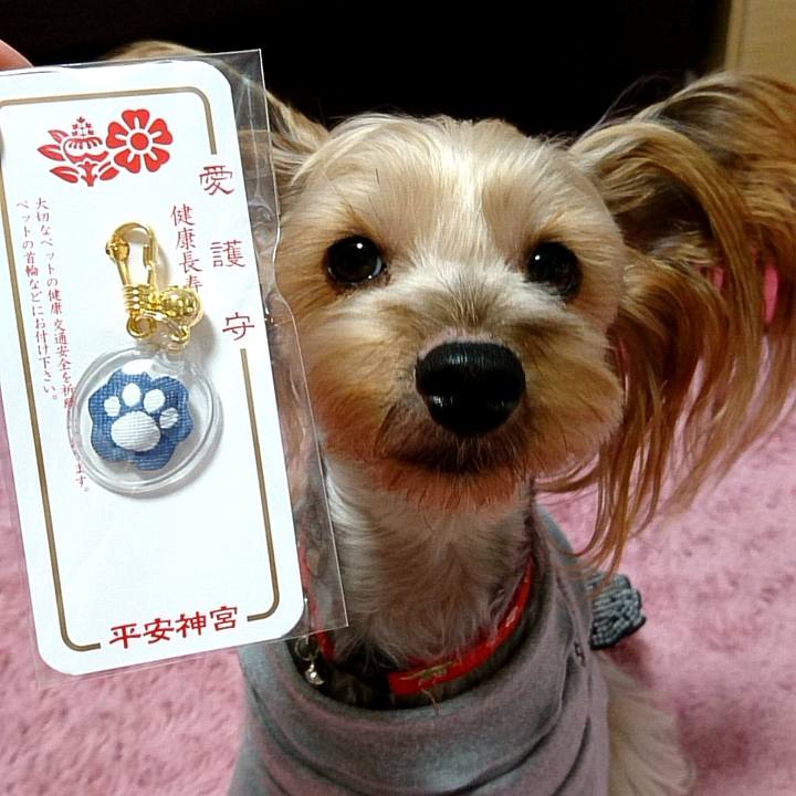 B2437d2d 27e7 47ad ad34 43c07ce38ead 1546328702870