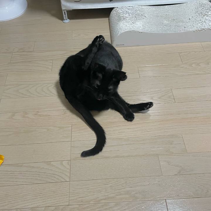 B243b1b6 b240 48e4 a247 c7cd79bc22bf 1697885249285