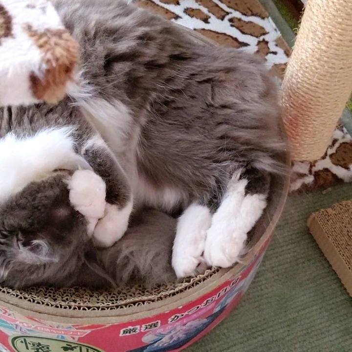 B243d45c e79f 4c08 a552 baf086040db3 1596927455406