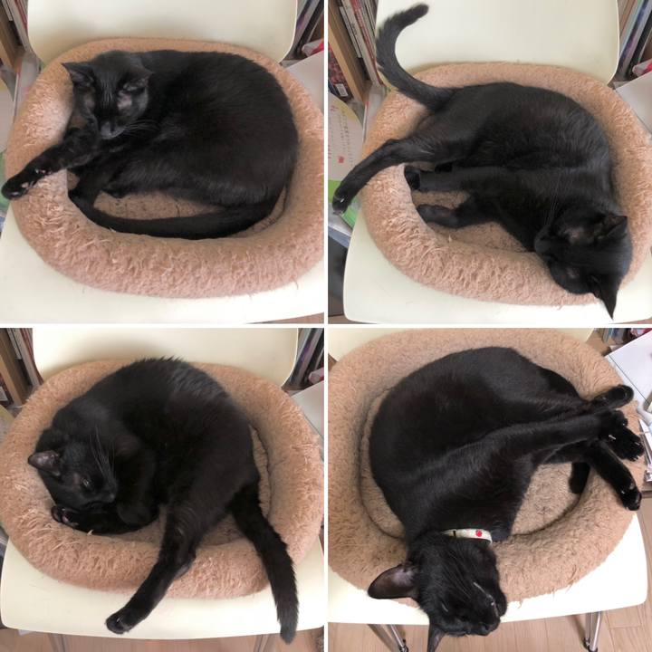 B2441dff 1e6c 4056 805e 09bef3586fb9 1623671690451