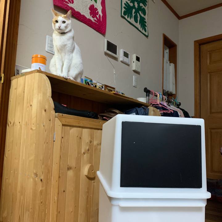 B244342b 0a57 4390 aebe 92af0a1c14c4 1556202388663