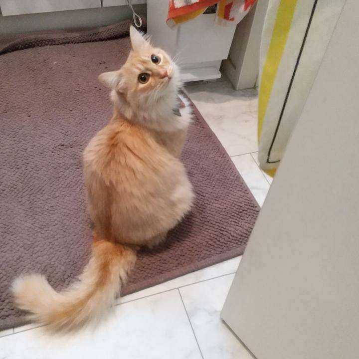 B2443c82 336b 4ae2 a214 00c1be371551 1646690323607