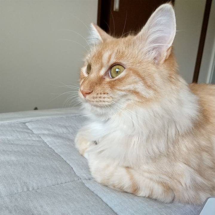 B2445219 1215 466b af2b 1dc2223e3031 1622329635001