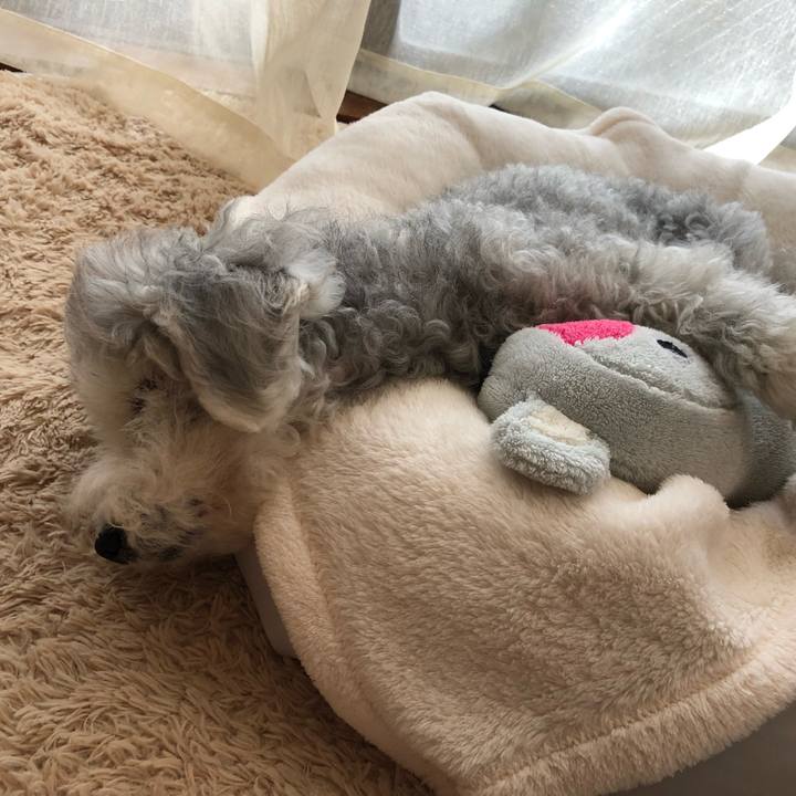 B24456b4 8e96 4df9 834c 55f87b9561b8 1656125637017