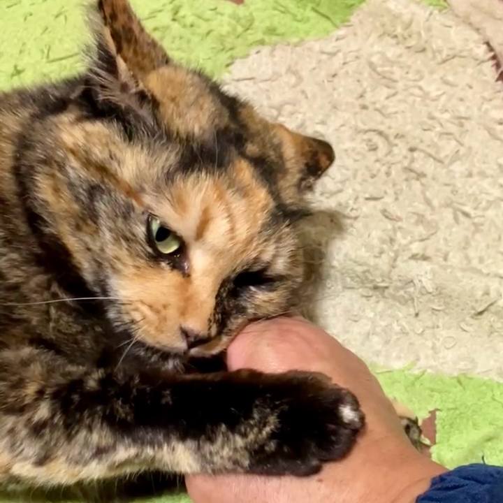 B24457db 7f6d 4644 8f57 0f5e5f94a3b5 1740945679734