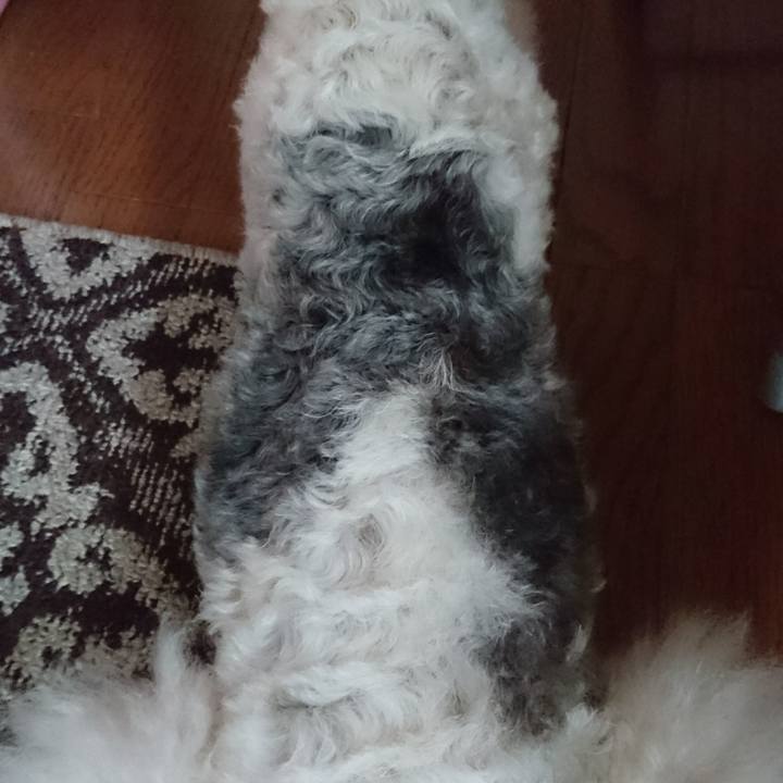 B2448854 8116 4b14 90f7 780cadc1e6be 1510103612044