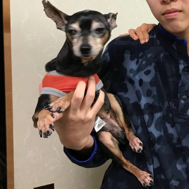 B24495bf 8824 44a1 9616 37bd93d6af36 1580565920783