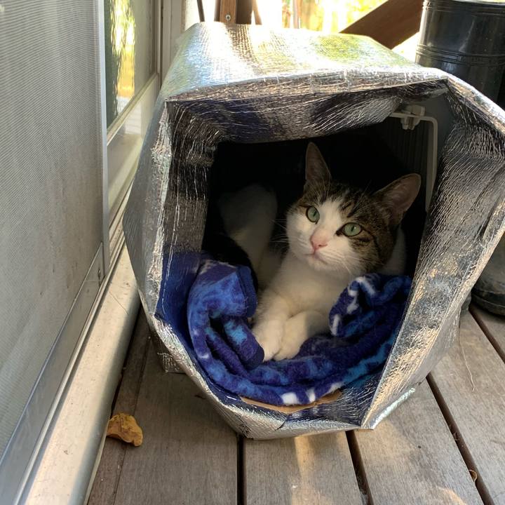 B24498ce 27d6 460c ad99 7e8abc72a59e 1572495968544