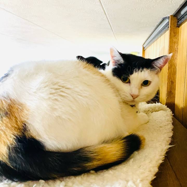 B244e4f3 21dc 4eb2 8d54 7b5075a786a8 1682342018196