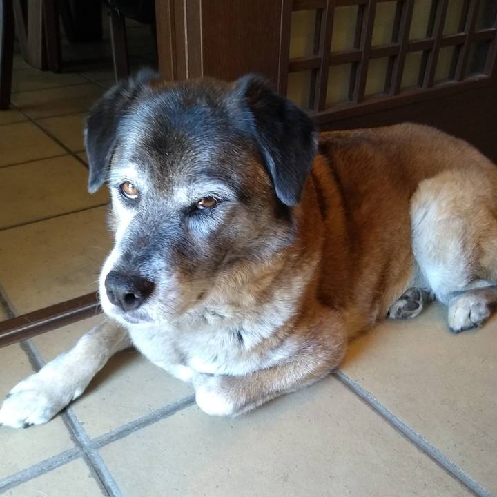 B244e5b3 f315 4f35 981f 82cc2b35ba62 1558581931225