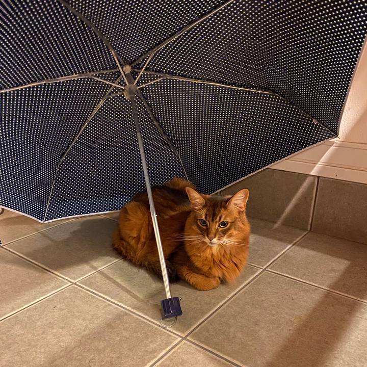 B244efb1 73aa 44a9 a79f ceb288fcda69 1688739103712