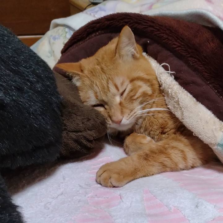 B245409b 9a48 4cc7 81c7 977899ed6012 1676525081391