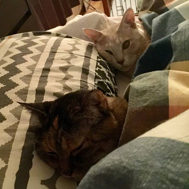 B245512f 1818 429d ac71 e94c517d5daa 1570656387303