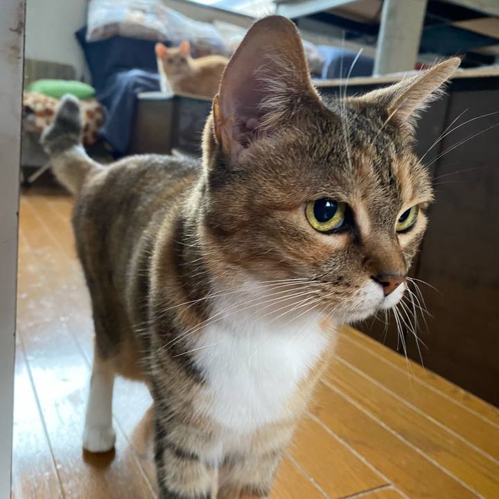 B2456789 6c83 497e 9a44 dd57070af296 1621317543825