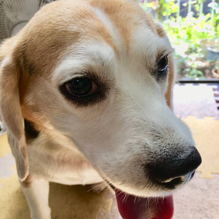 B24567bd 4508 4f21 99fc cc8e2e616a5a 1539316404675