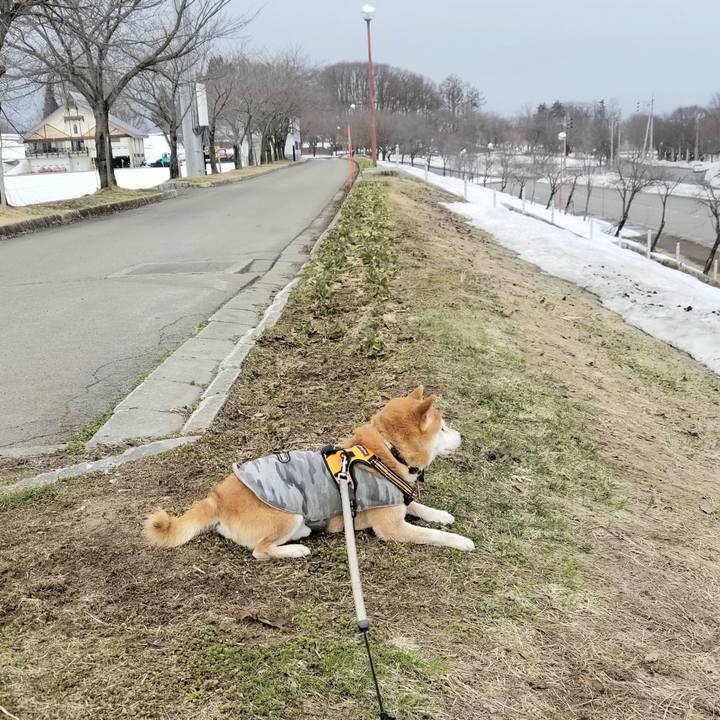 B2456fdc a2ff 46d4 bf3d 0dc65007a4e6 1615955402761