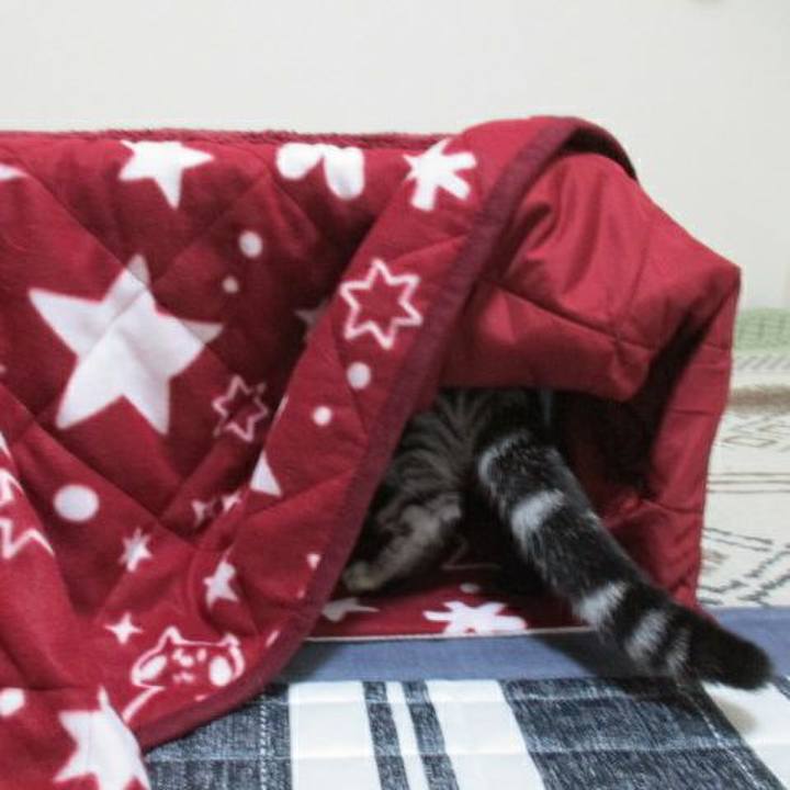 B245d38a 3722 4e63 b374 2eb0ed8826b5 1540082886592