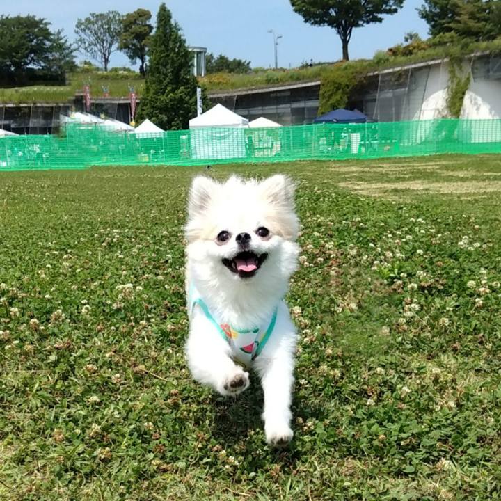 B2461303 f379 4543 88a8 ccdf0a0d3b70 1657119757317